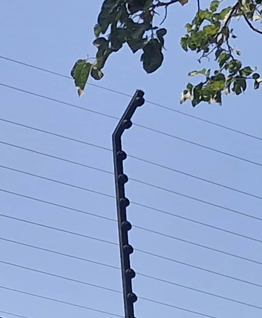 فنس الکتریکی ( شرکت حصار الکتریک پارسا )|مصالح و تجهیزات ساختمان|کرج, گوهردشت|دیوار