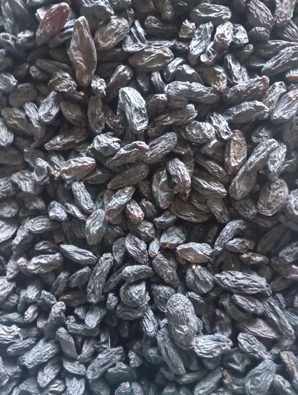 مویز درجه یک ۲۰کیلو کیلویی ۵۰۰تومان درجه یک|خوردنی و آشامیدنی|ری, جوانمرد قصاب|دیوار