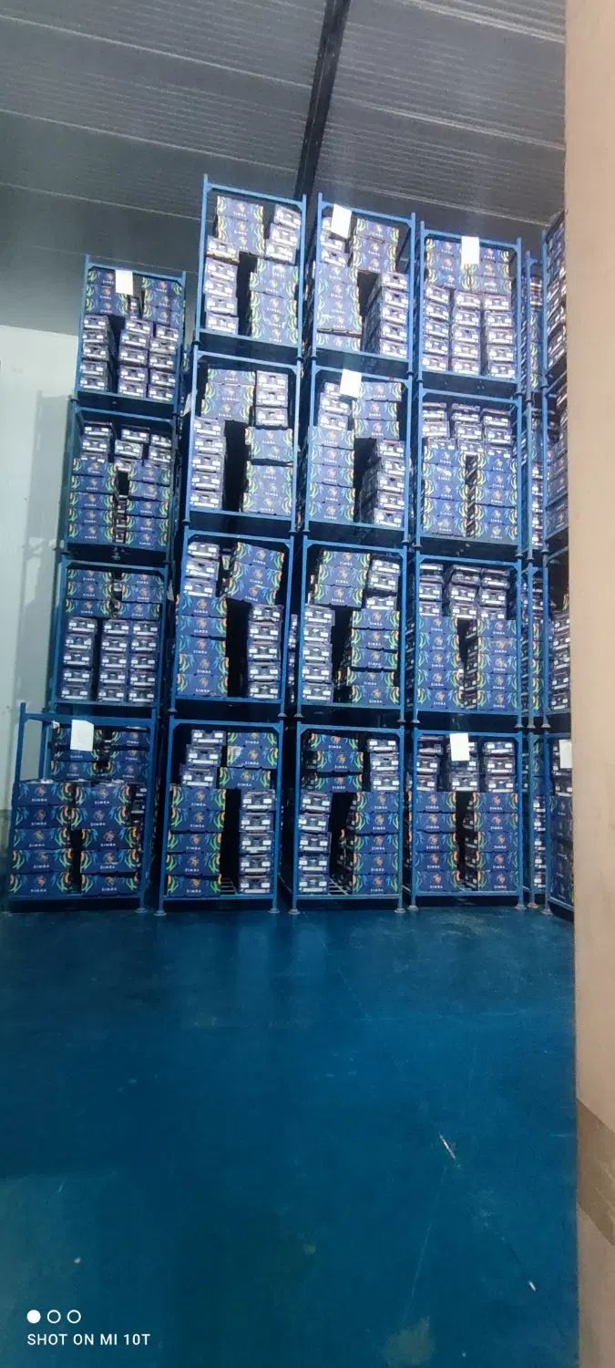 استخدام کارگر دائم افغانی با جای خواب و غذا|استخدام صنعتی، فنی، مهندسی|شیراز, شهرک صنعتی شیراز|دیوار
