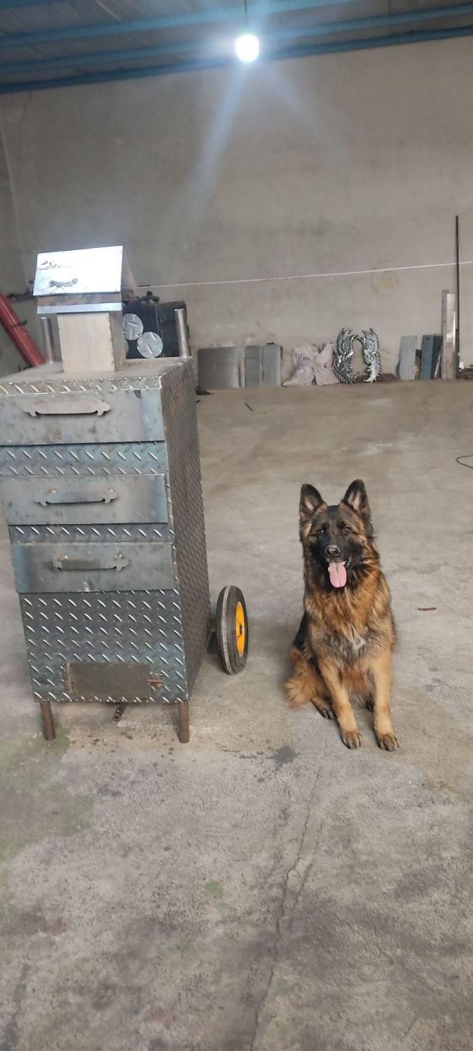 دستگاه بلال تنوری لبو باقالی ایوژن|کافیشاپ و رستوران|پاکدشت, شهرک انقلاب|دیوار