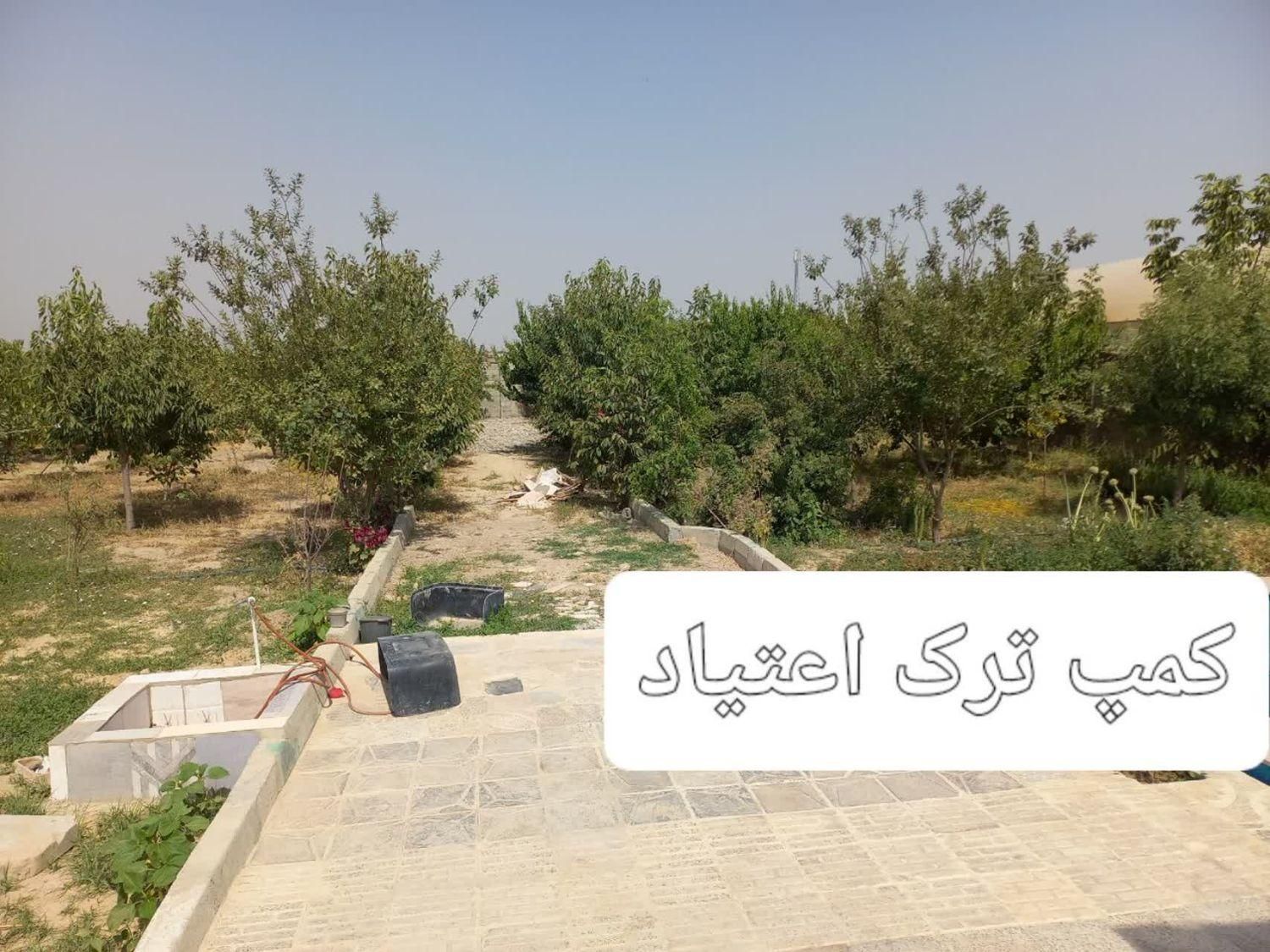 کمپ ترک اعتیاد تمایلی. تخفیف ویژه VIP|خدمات آرایشگری و زیبایی|چهارباغ, |دیوار