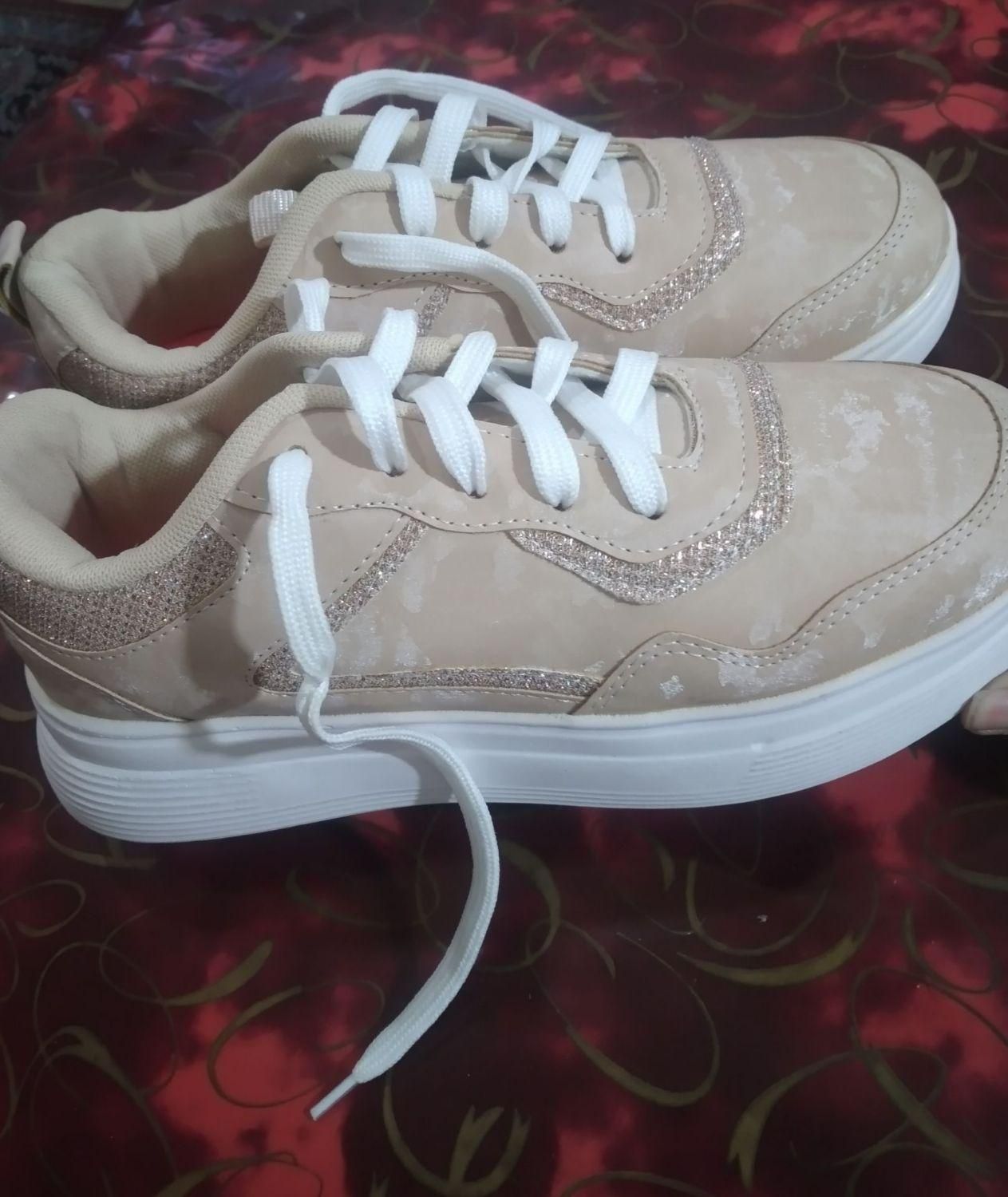 کفش نو|کیف، کفش، کمربند|شهرکرد, |دیوار