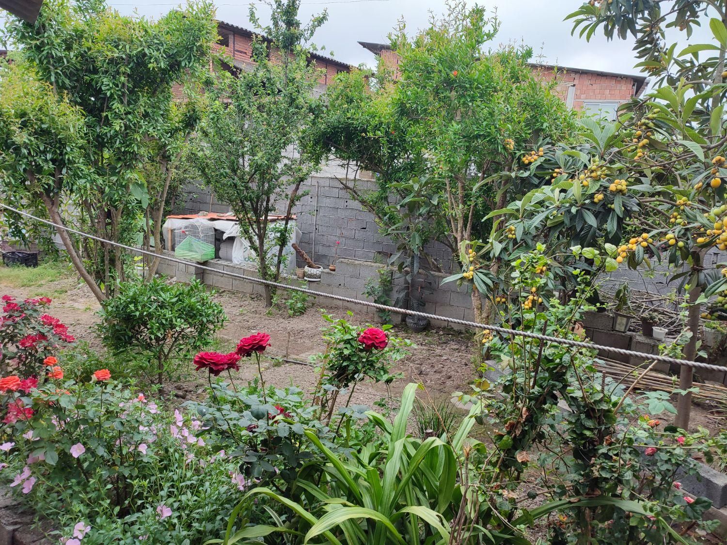 فروش باغ و ویلا کلنگی به متراژ ۳۳۵متردارای سند|فروش زمین و ملک کلنگی|دابودشت, |دیوار