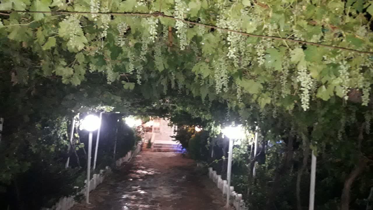 اجاره باغ ویلا اول جاده گلمکان،گلبهار،کاهو|اجارهٔ کوتاه‌مدت ویلا و باغ|مشهد, احمدآباد|دیوار