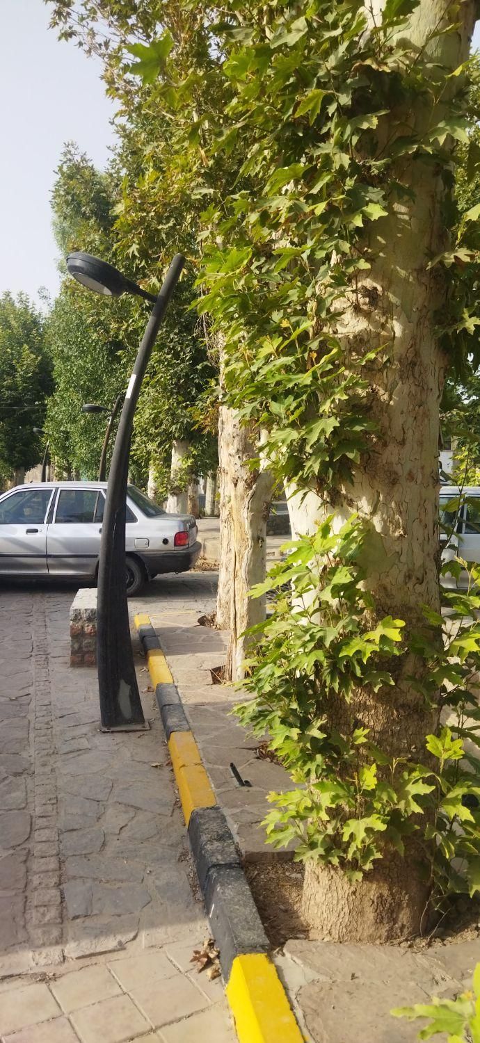 ملک مسکونی|فروش خانه و ویلا|جوادآباد, |دیوار