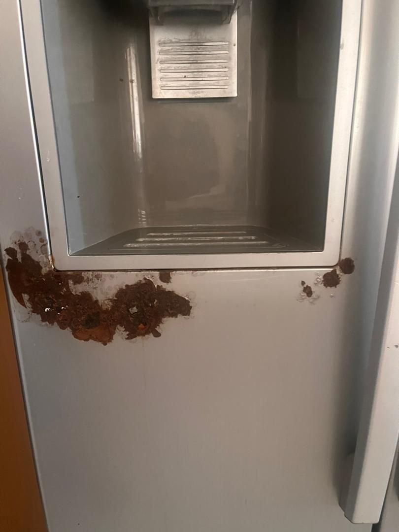 رنگ کردن یخچال وست لوازم منزل|خدمات پیشه و مهارت|قرچک, شهرک طلائیه|دیوار