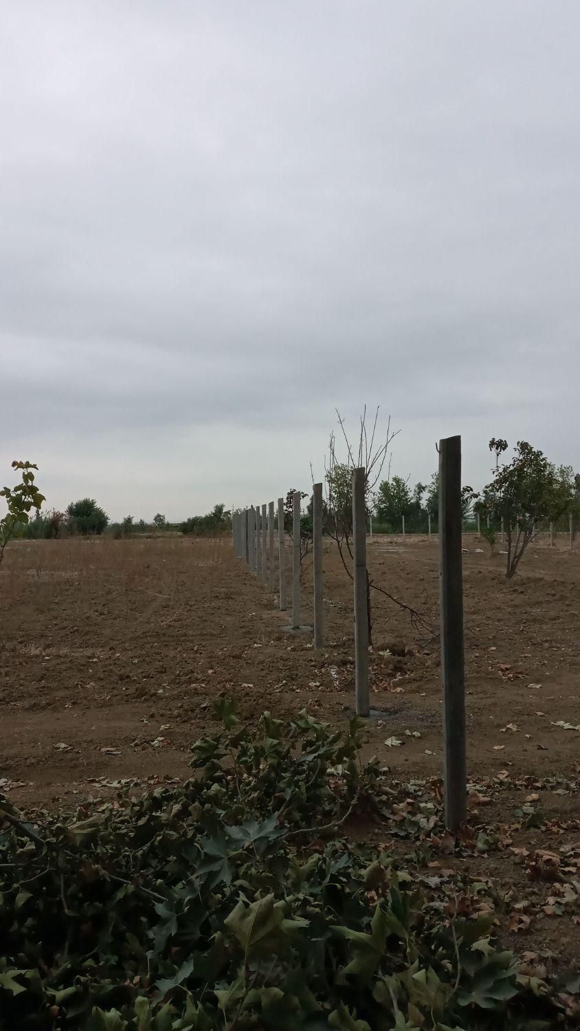 حصار دور زمین و باغات فنس و پایه|خدمات باغبانی و درختکاری|گرگان, |دیوار