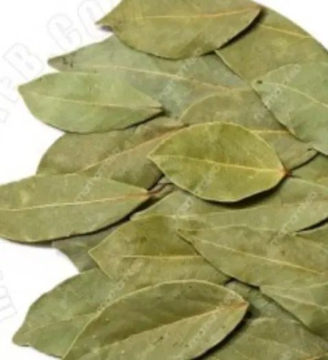 برگ بو|گل و گیاه طبیعی|اصفهان, شاهزید|دیوار