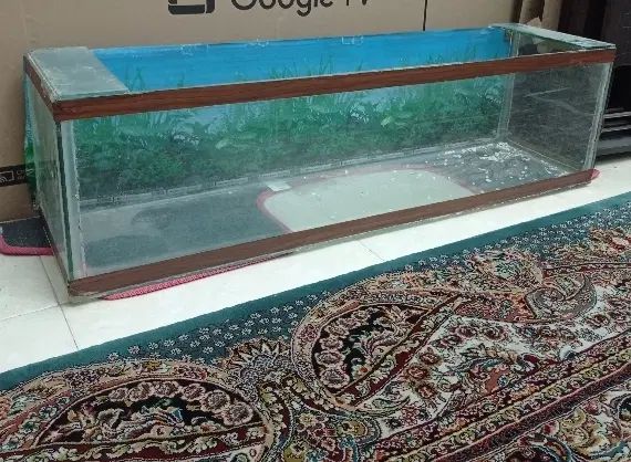 آکواریوم سنگ و صدف حراج حراج|حراج|کرج, گلشهر|دیوار