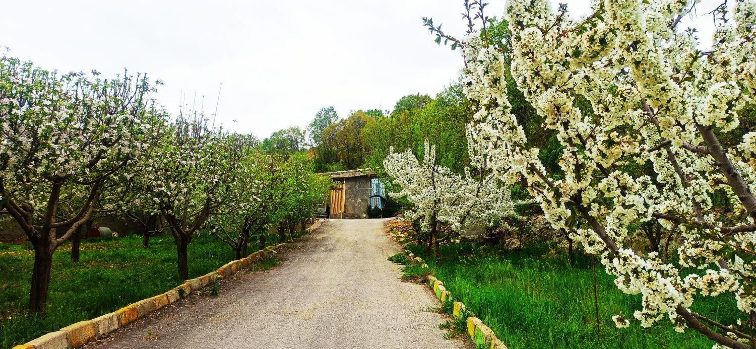 ویلا باغ شکوفه ها تمیز  بکر|اجارهٔ کوتاه‌مدت ویلا و باغ|یاسوج, |دیوار