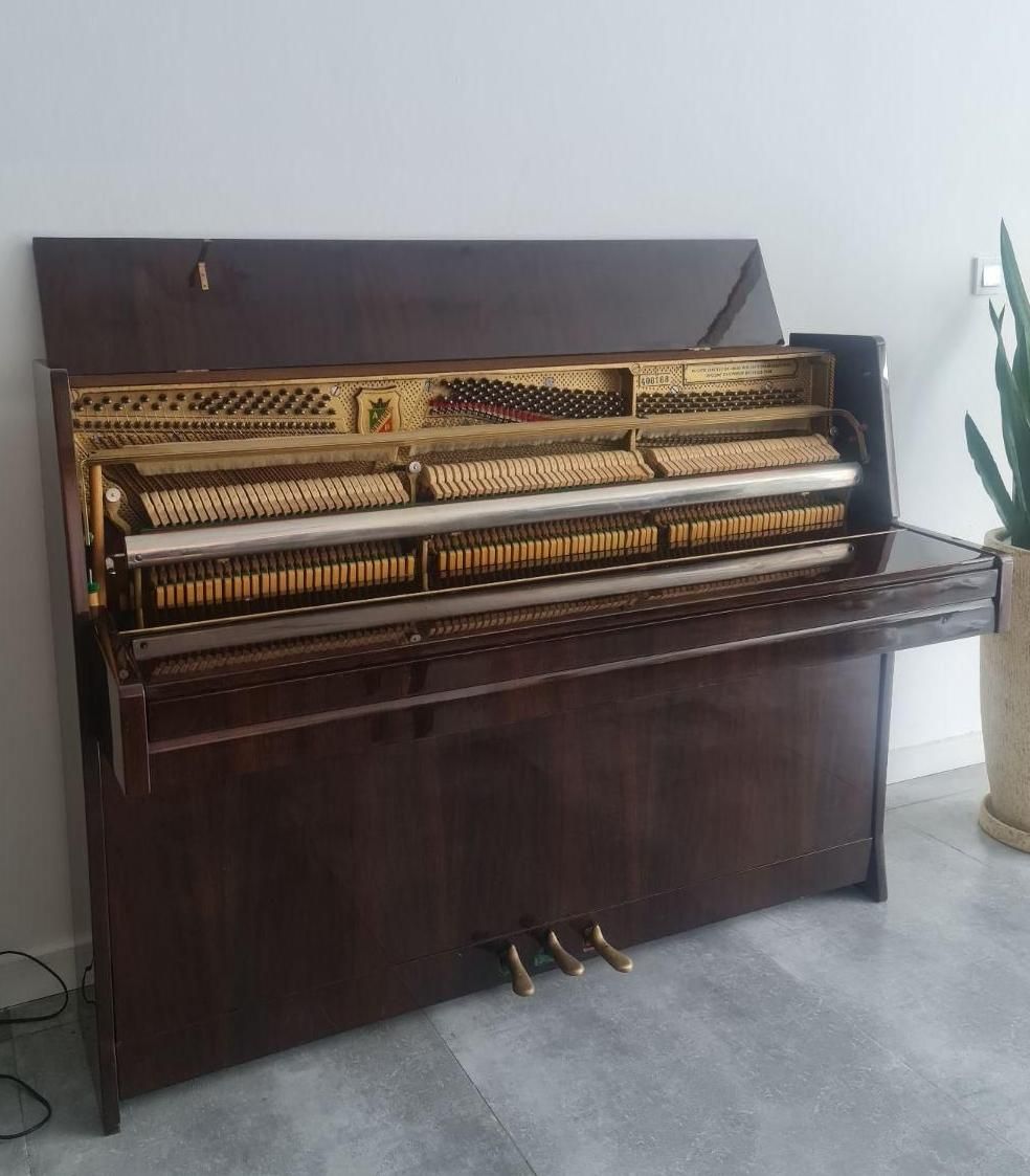 پیانو آکوستیک / پتروف / petrof|پیانو، کیبورد، آکاردئون|رویان, |دیوار