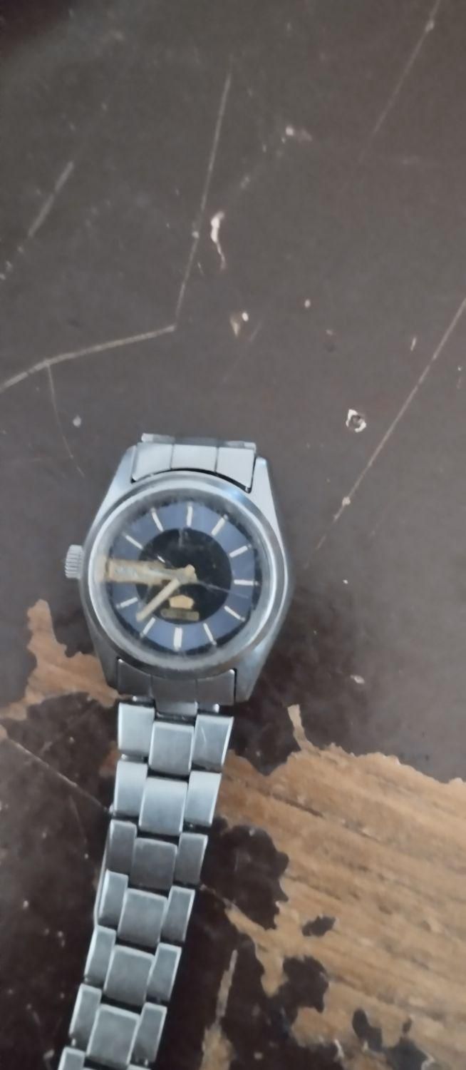 ساعت سیکو 5 زنانه|ساعت|پرند, فاز ۵|دیوار