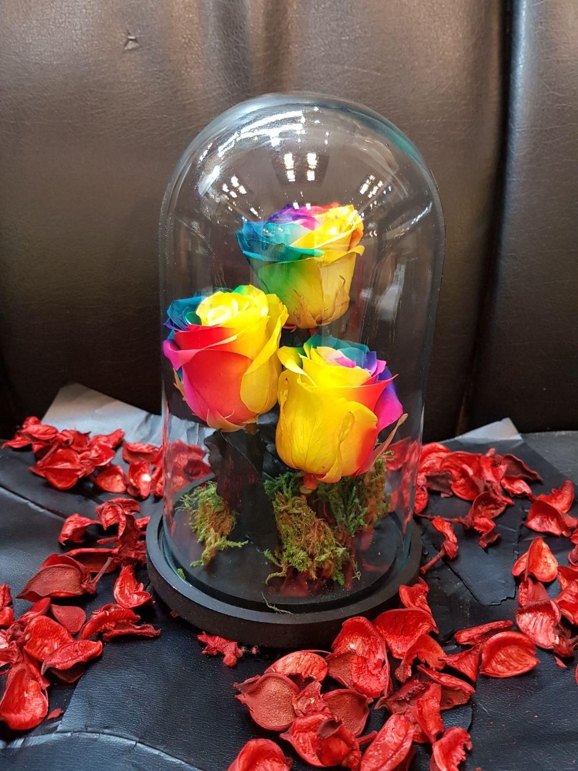 هدیه باکس گل رز جاودان طرح دیو و دلبر|گل و گیاه طبیعی|تهران, فردوسی|دیوار