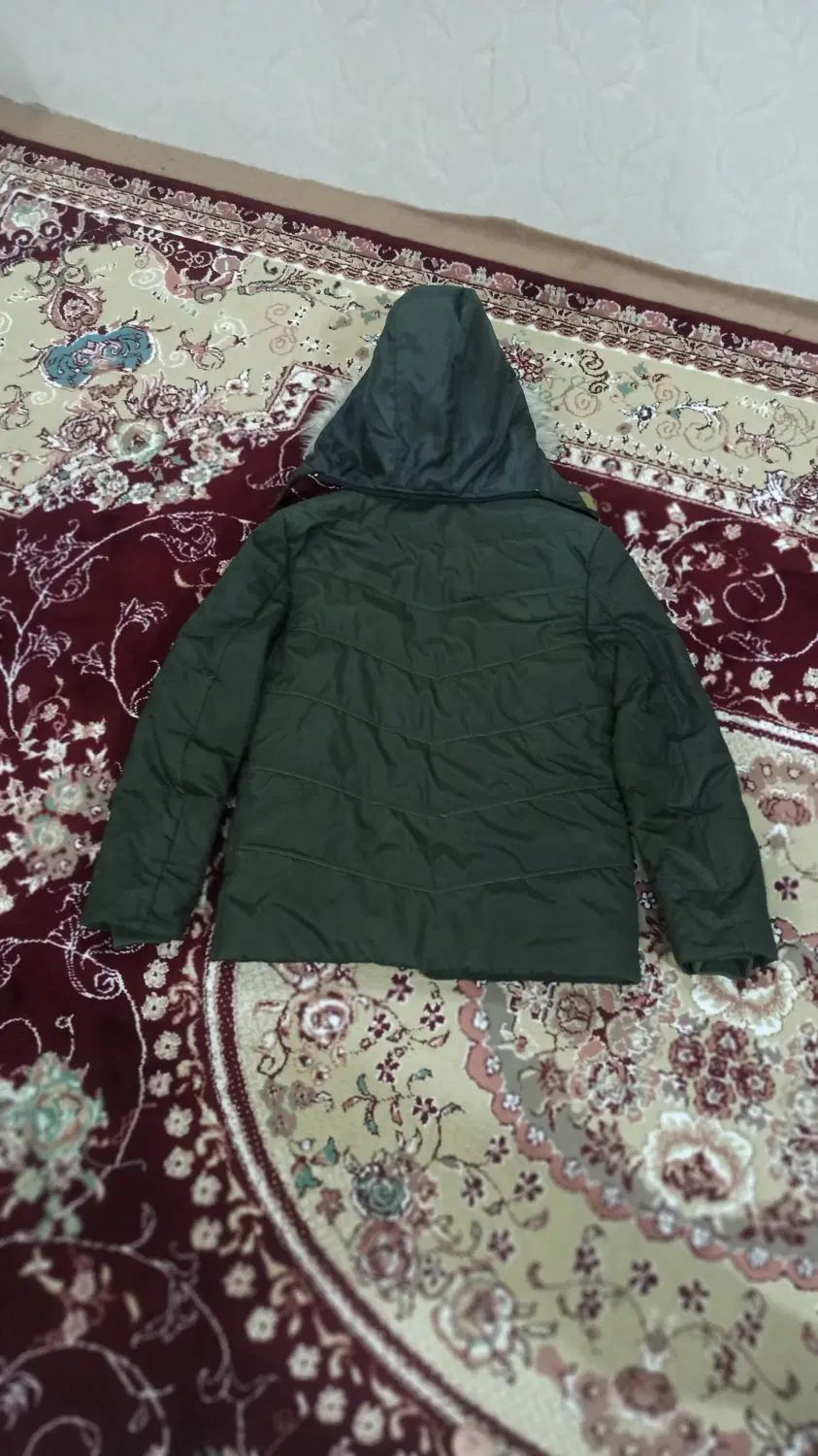 یک عدد کاپشن سایز xL درحد دو سه بار پوشیده شده|لباس|اردبیل, |دیوار