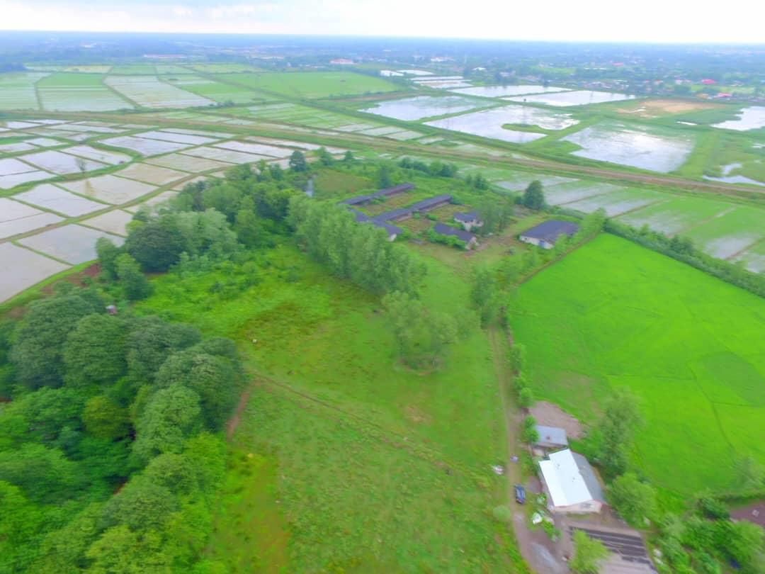 فروش زمین ۲۳۰۰۰متری|فروش زمین و ملک کلنگی|رشت, آزادگان|دیوار