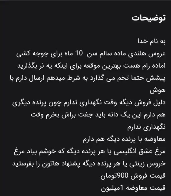 عروس هلندی رام ماده اماده برا جوجه کشی معاوضه دارم|پرنده|تهران, مسعودیه|دیوار