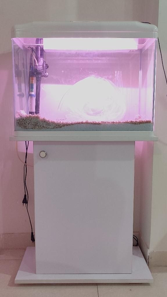آکواریوم دلسا k580 و میز آکواریوم|ماهی|قدس, شهرک فرزان|دیوار