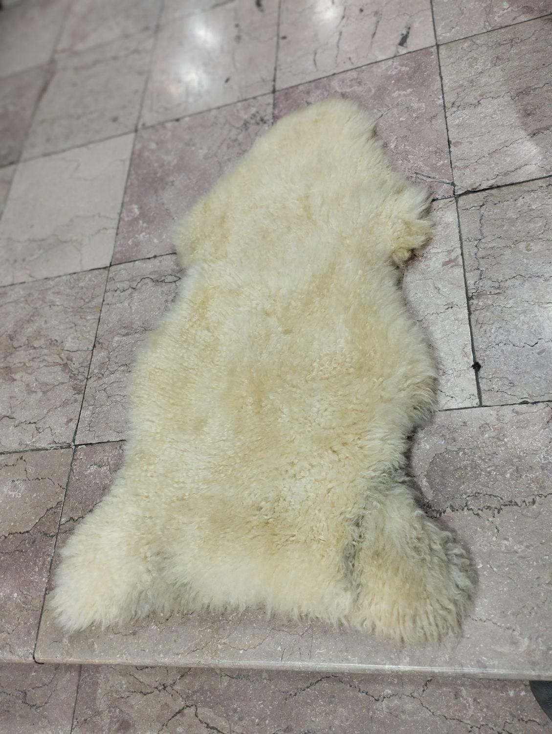 پوست گوسفند مرینوس ( خارجی )|صنایع دستی و سایر لوازم تزئینی|میانه, |دیوار