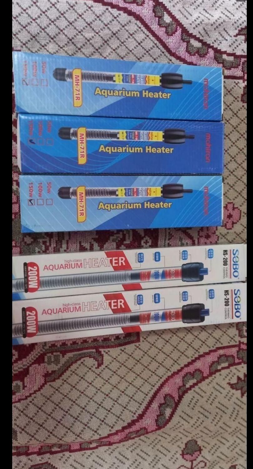 لوازم اکواریوم و پلنت|ماهی|محمدشهر, شهرک چمران|دیوار