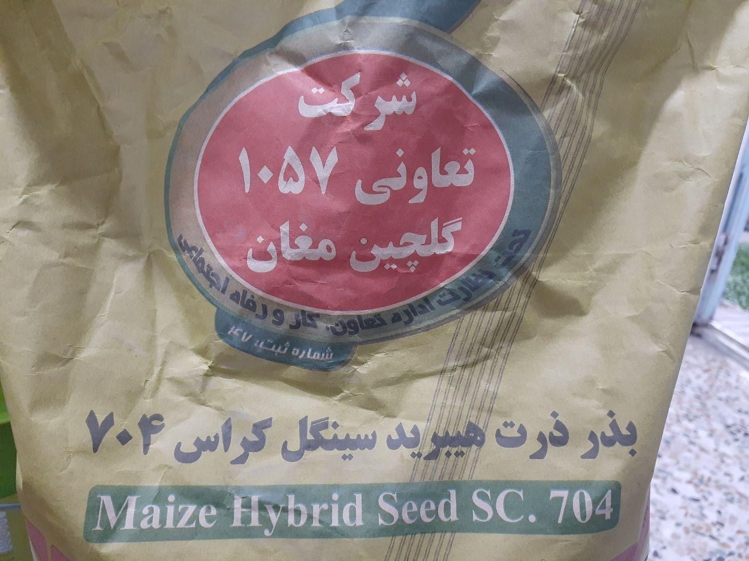 بذر ذرت ۷۰۴ دشت مغان تولید ۱۴۰۳|خدمات باغبانی و درختکاری|شهرکرد, |دیوار