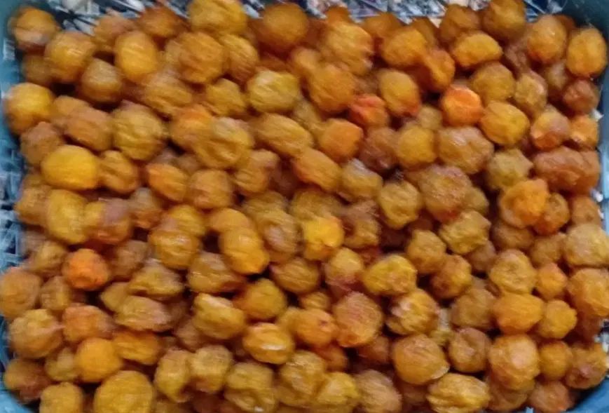 الو شمس طرقبه|خوردنی و آشامیدنی|مشهد, ویلاشهر|دیوار
