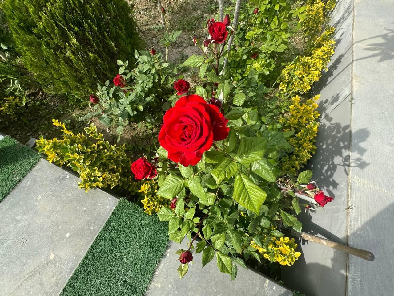 باغچه باغی زمین چهار دیواری برق سه فاز سند|فروش زمین و ملک کلنگی|تهران, شهید رجایی|دیوار