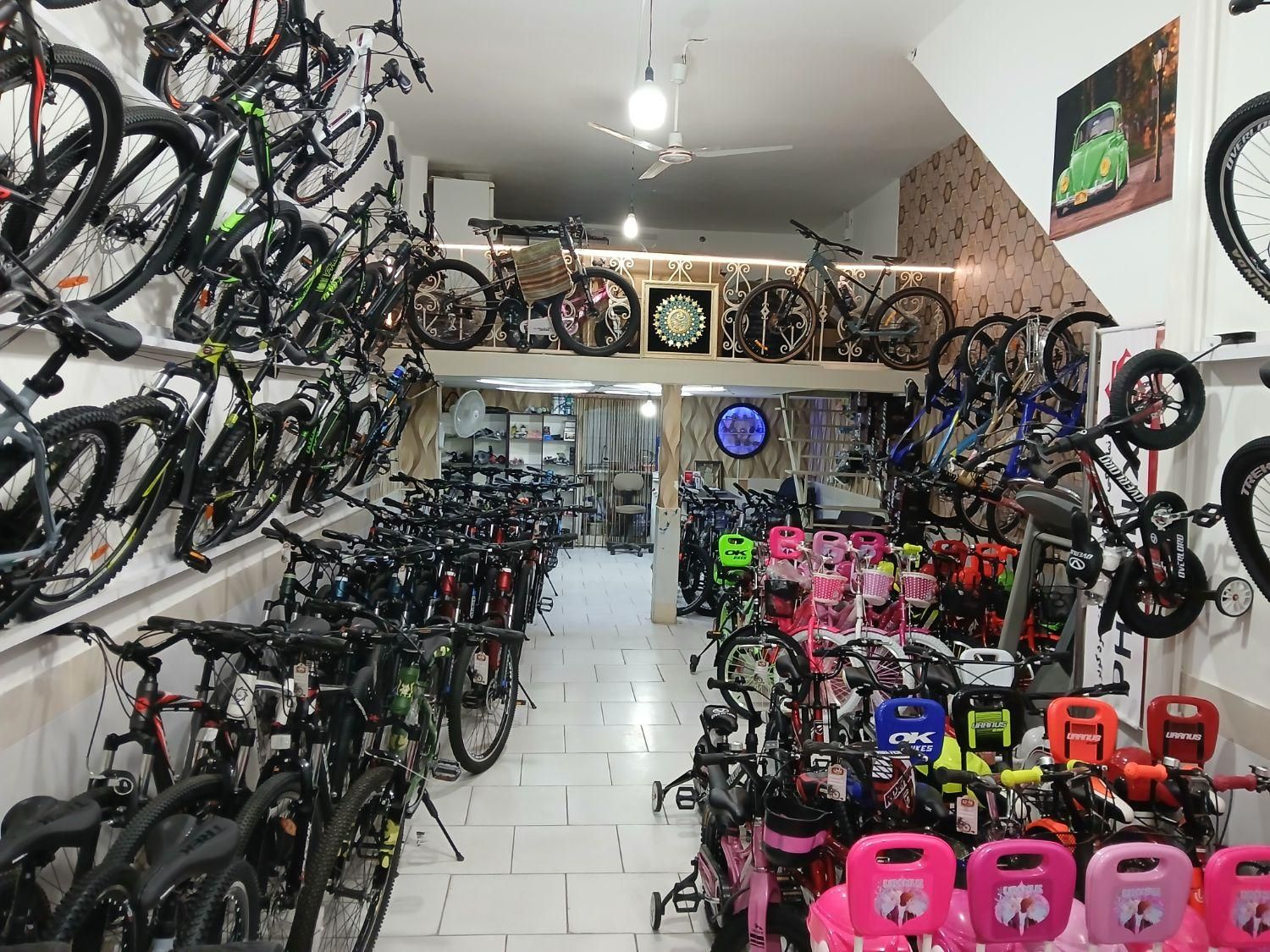 پارس دوچرخه|دوچرخه، اسکیت، اسکوتر|بیرجند, |دیوار