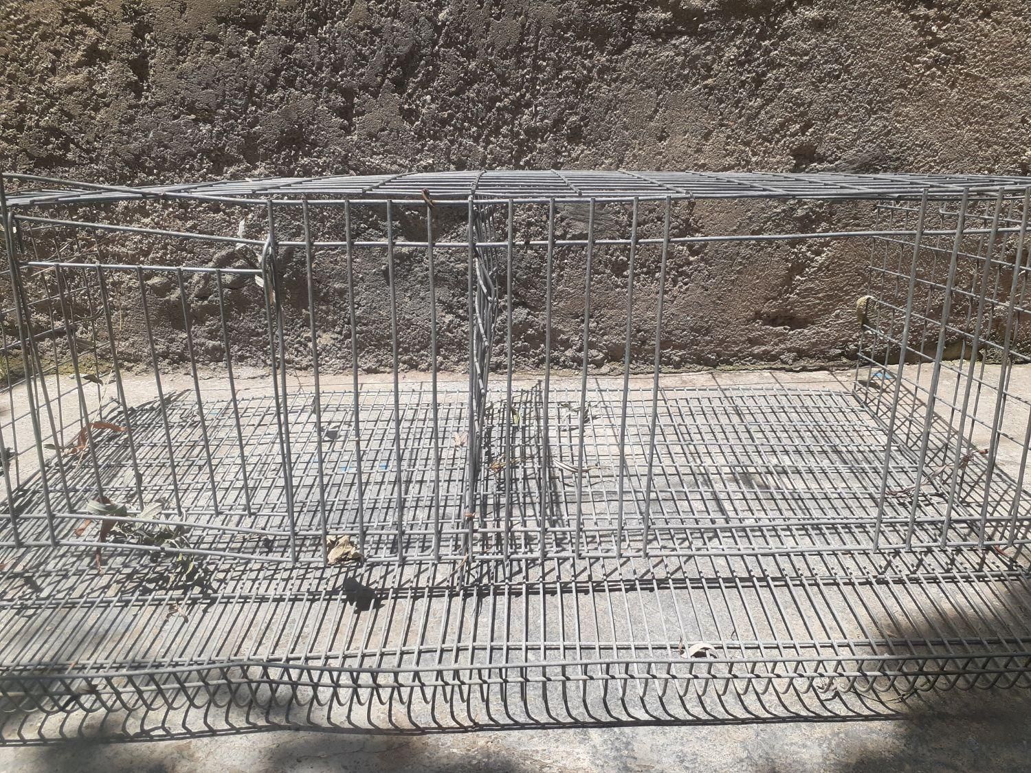 قفس بلدرچین کار کرده|لوازم جانبی حیوانات|رامیان, |دیوار