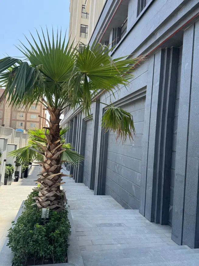 68متر الی250خریدمستقیم ازسازنده برج چناران تهرانسر|فروش آپارتمان|تهران, تهرانسر شمالی|دیوار