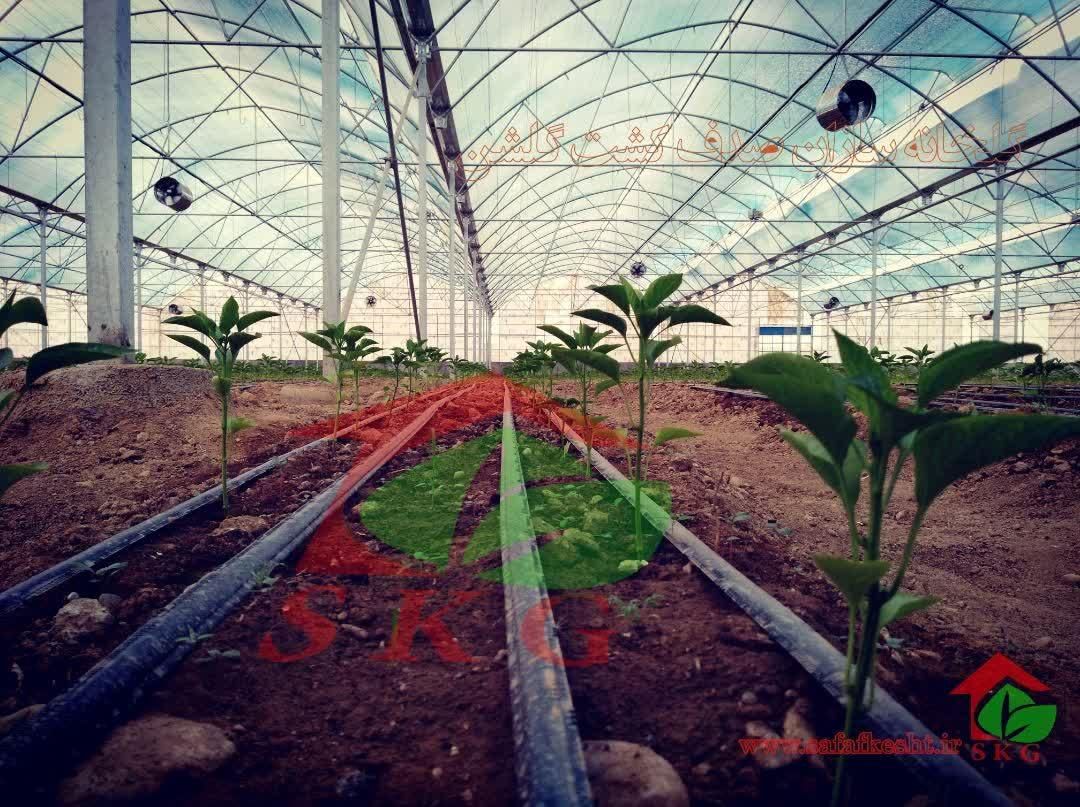 انواع پلاستیک گل خانه|خدمات باغبانی و درختکاری|شهرضا, |دیوار