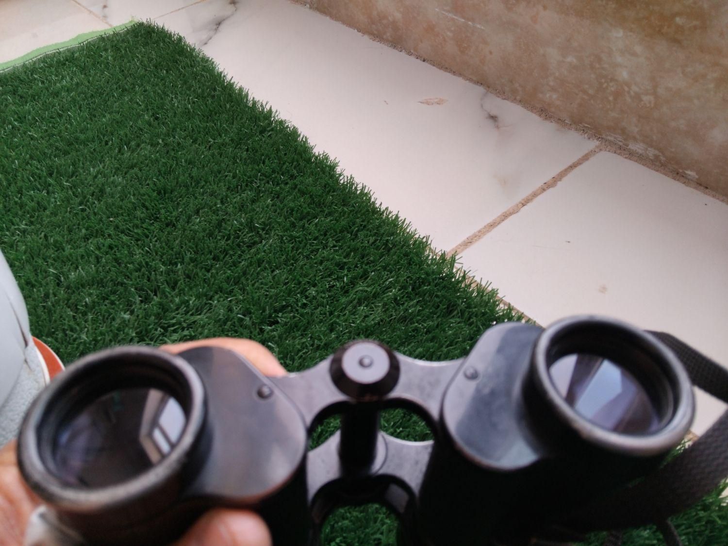 دوربین زایس ۸*۳۰|کوهنوردی و کمپینگ|تربت جام, والفجر|دیوار