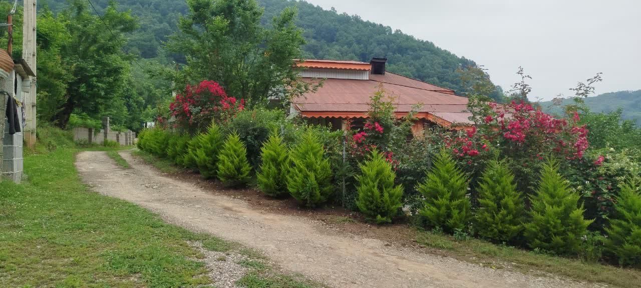 اجاره سالیانه ویلا جنگلی در دل طبیعت|اجارهٔ خانه و ویلا|ماسال, |دیوار