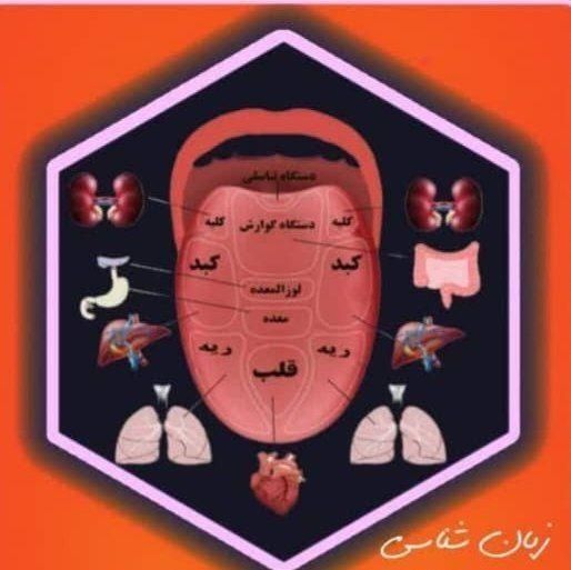 درآمد زایی آنلاین همراه با مدرک پیراپزشکی|خدمات آموزشی|رشت, آزادگان|دیوار