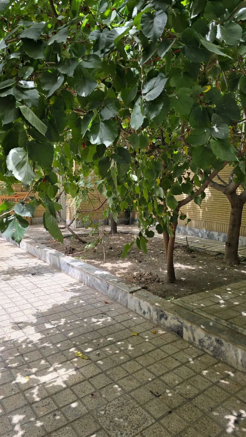 ۱۶۰متر ویلایی کریمی موقعیت عالی|فروش زمین و ملک کلنگی|مشهد, شهید مطهری|دیوار