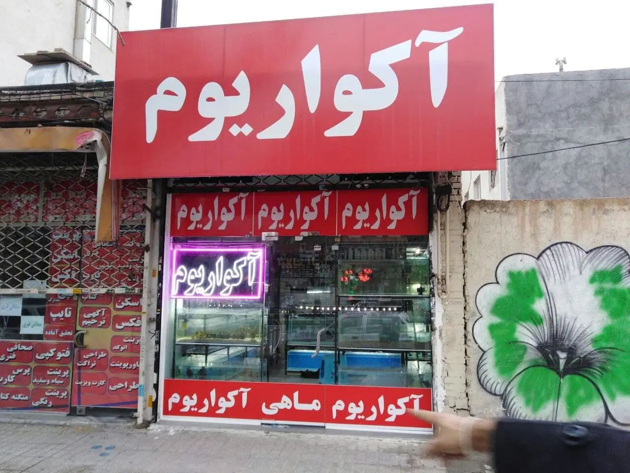 واگذاری وفروش لوازم اکواریم صفرتاصد کامل یکجا|ماهی|مشهد, شهرک رازی (شهرک غرب)|دیوار