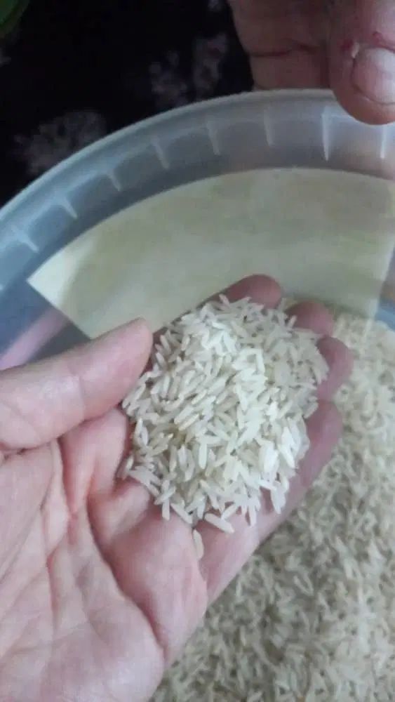 برنج طارم هاشمی درجه ۱|خوردنی و آشامیدنی|تهران, بیسیم|دیوار