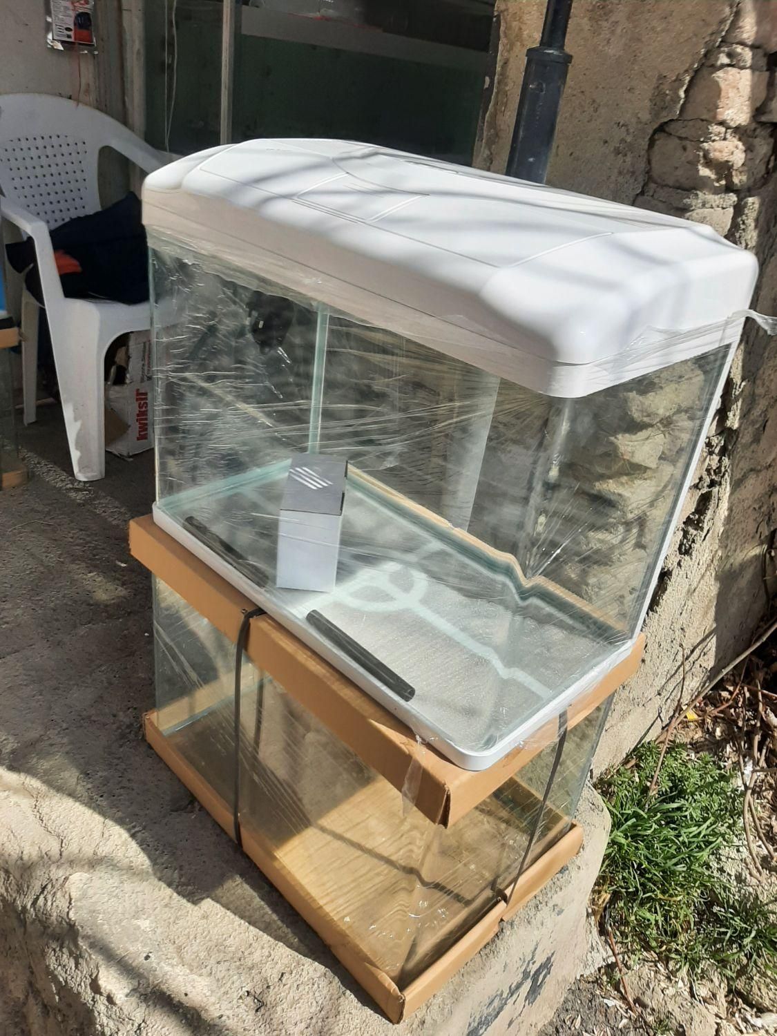 انواع ماهی و آکواریوم پمپ ابنما|ماهی|سنندج, |دیوار