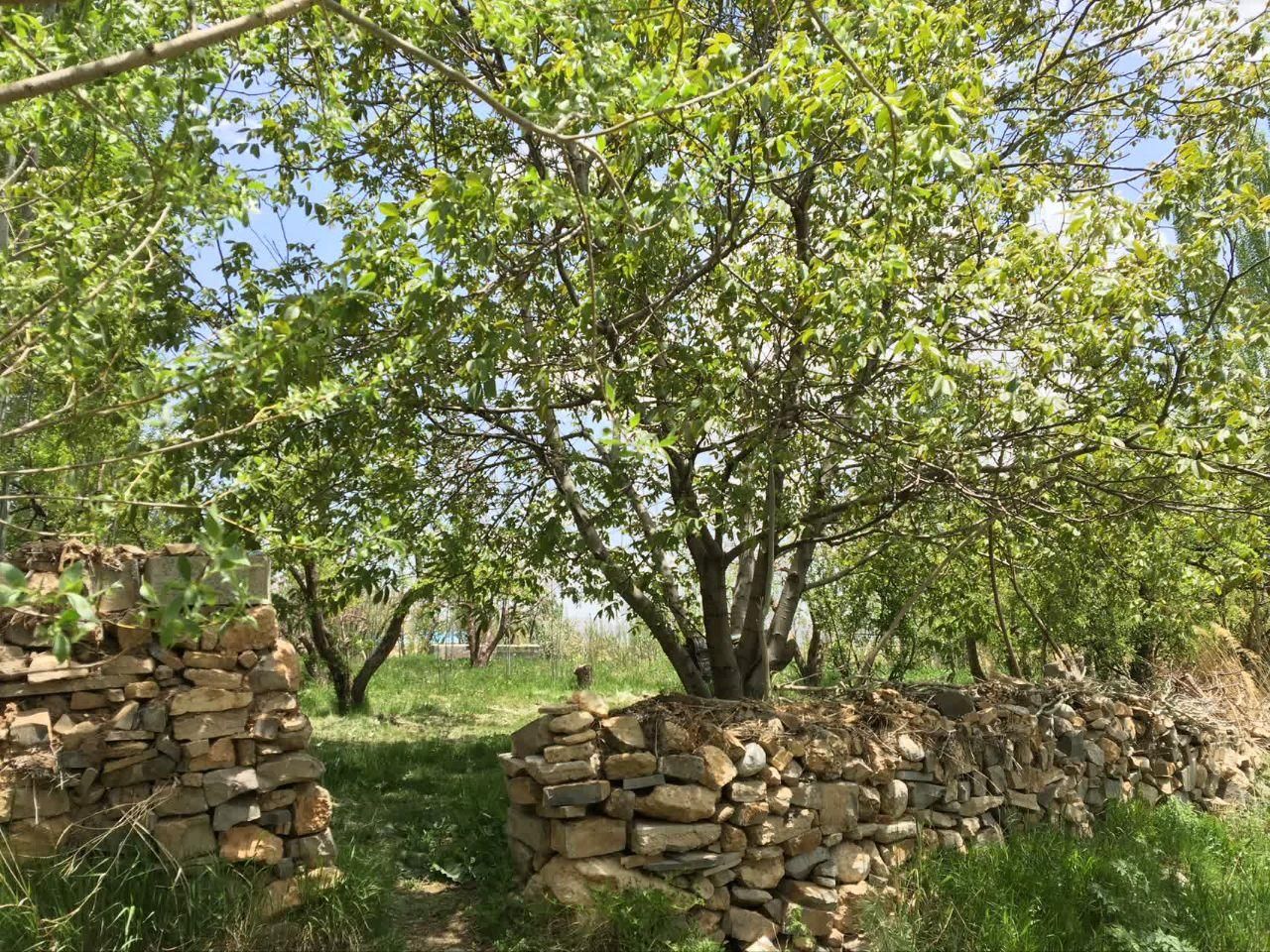 فروش باغ|فروش زمین و ملک کلنگی|سمیرم, |دیوار