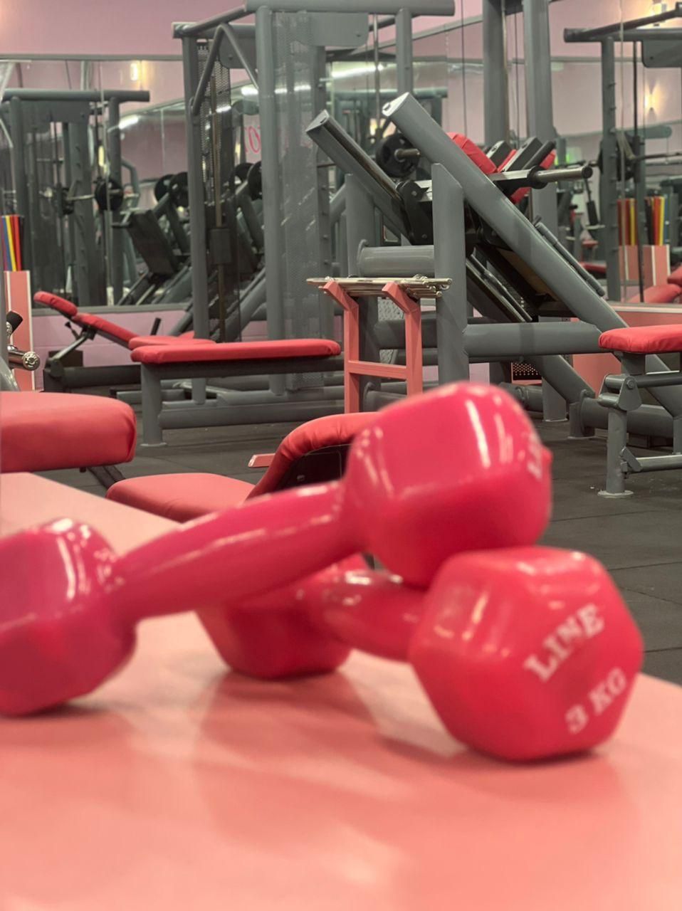 برا ثبت نام باشگاه منتظر شنبه نباش|خدمات آموزشی|شیراز, آبیاری|دیوار