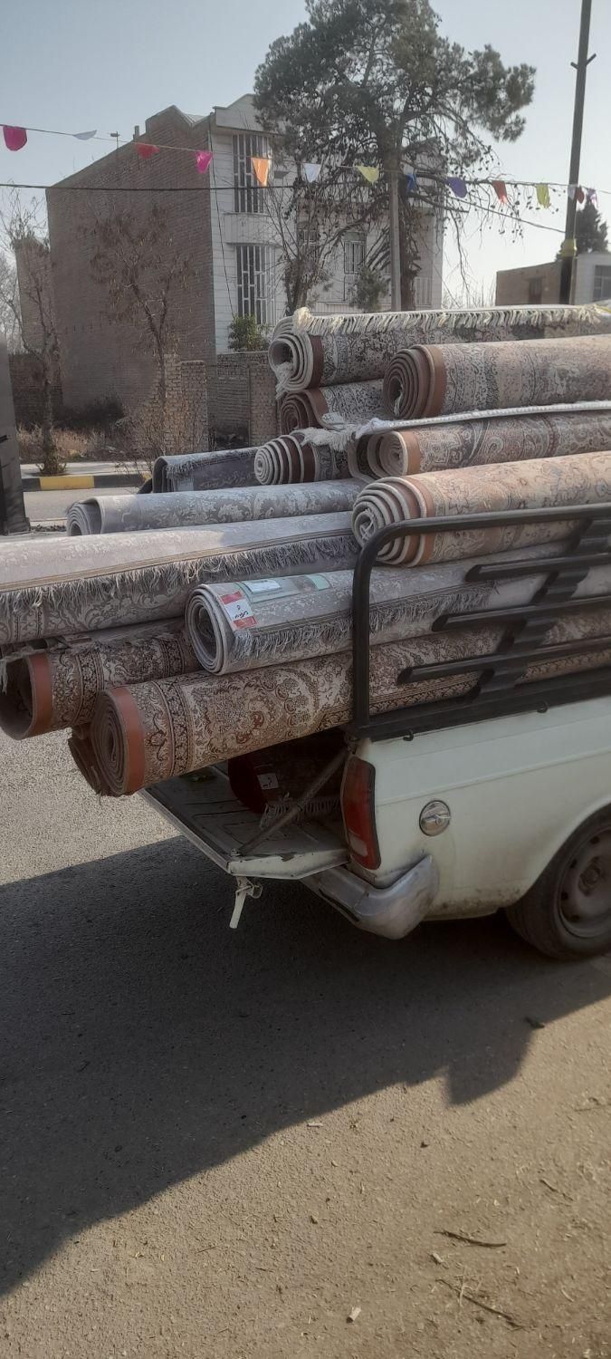 قالیشوی ملایری در پاکدشت و شریف اباد|خدمات نظافت|پاکدشت, پاکدشت (مامازند)|دیوار