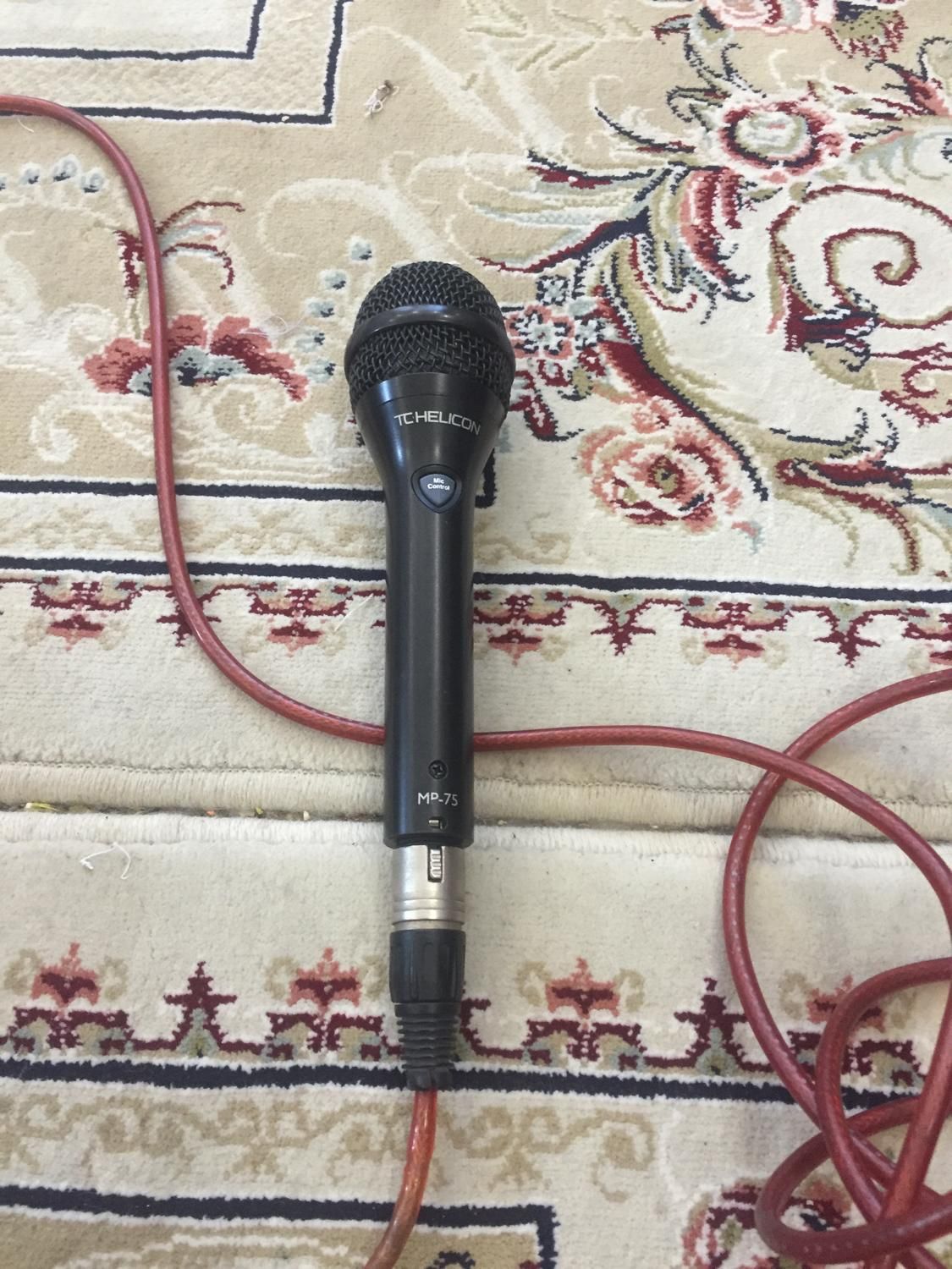 میکروفون باسیم|آلات موسیقی|رشت, پل تالشان|دیوار