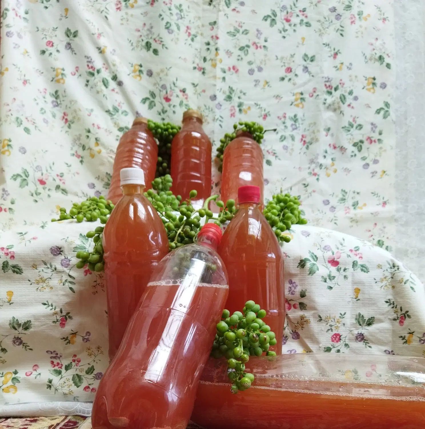 آبغوره کاملا طبیعی بدون نمک و کاملا بهداشتی وسالم|خوردنی و آشامیدنی|شهرکرد, |دیوار