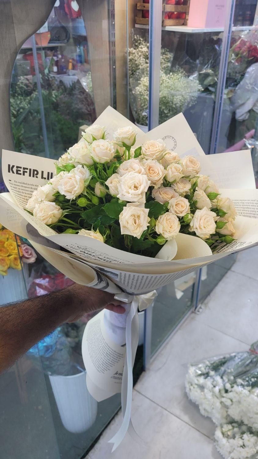 رز مینیاتوری ۷۹۰|گل و گیاه طبیعی|شیراز, خلدبرین|دیوار