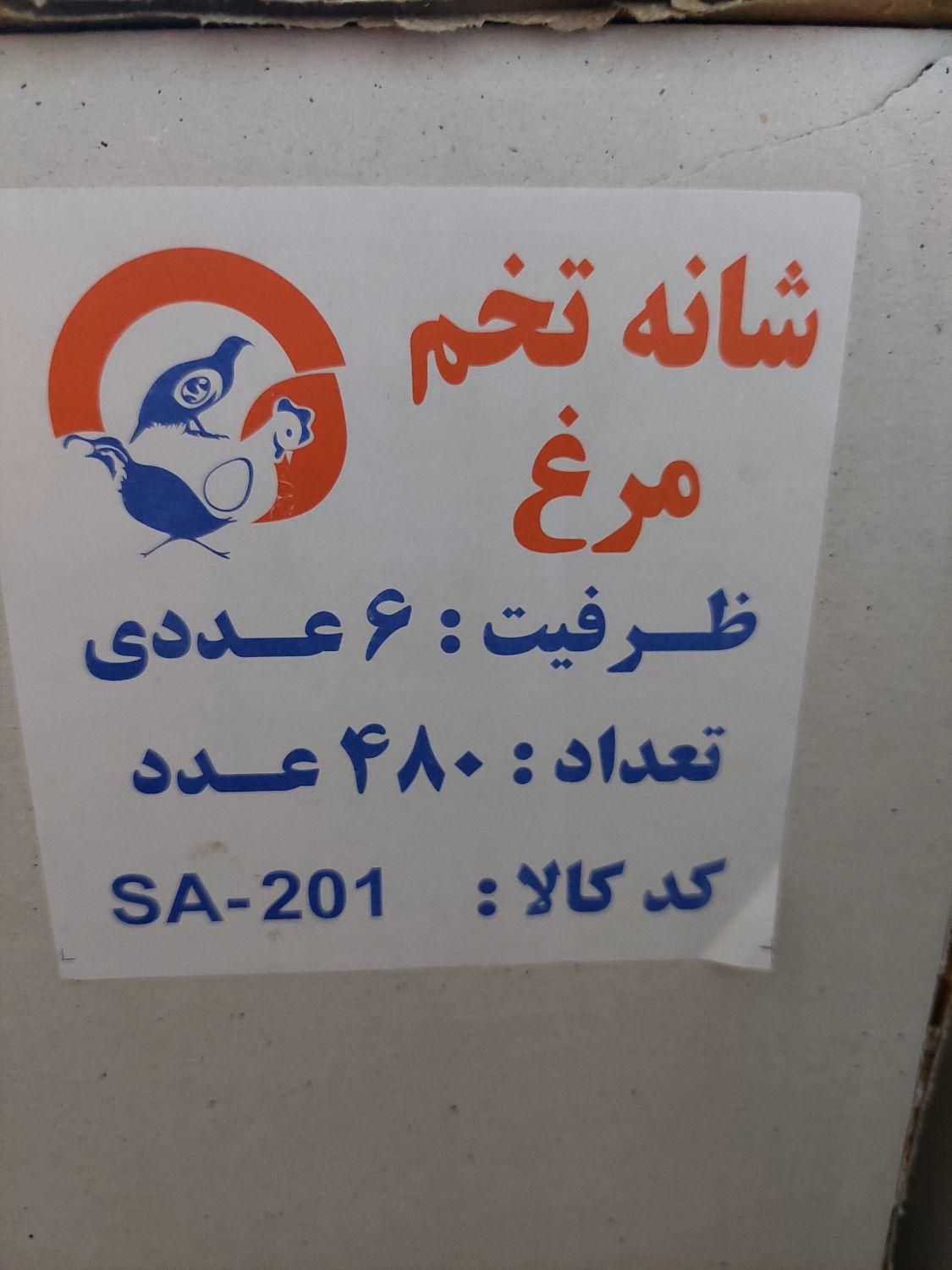 شانه طلقی ۶عددی تخم مرغ|ظروف نگهدارنده، پلاستیکی، یک‌بارمصرف|کرج, دولت‌آباد|دیوار
