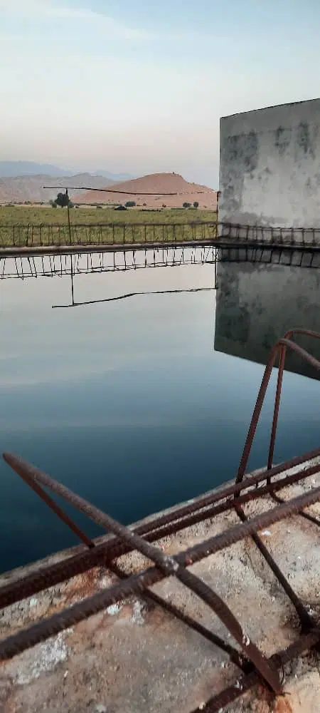 فروش ملک کشاورزی گچساران دشت بزرگ لیشتر|فروش دفتر صنعتی، کشاورزی، تجاری|دوگنبدان, |دیوار