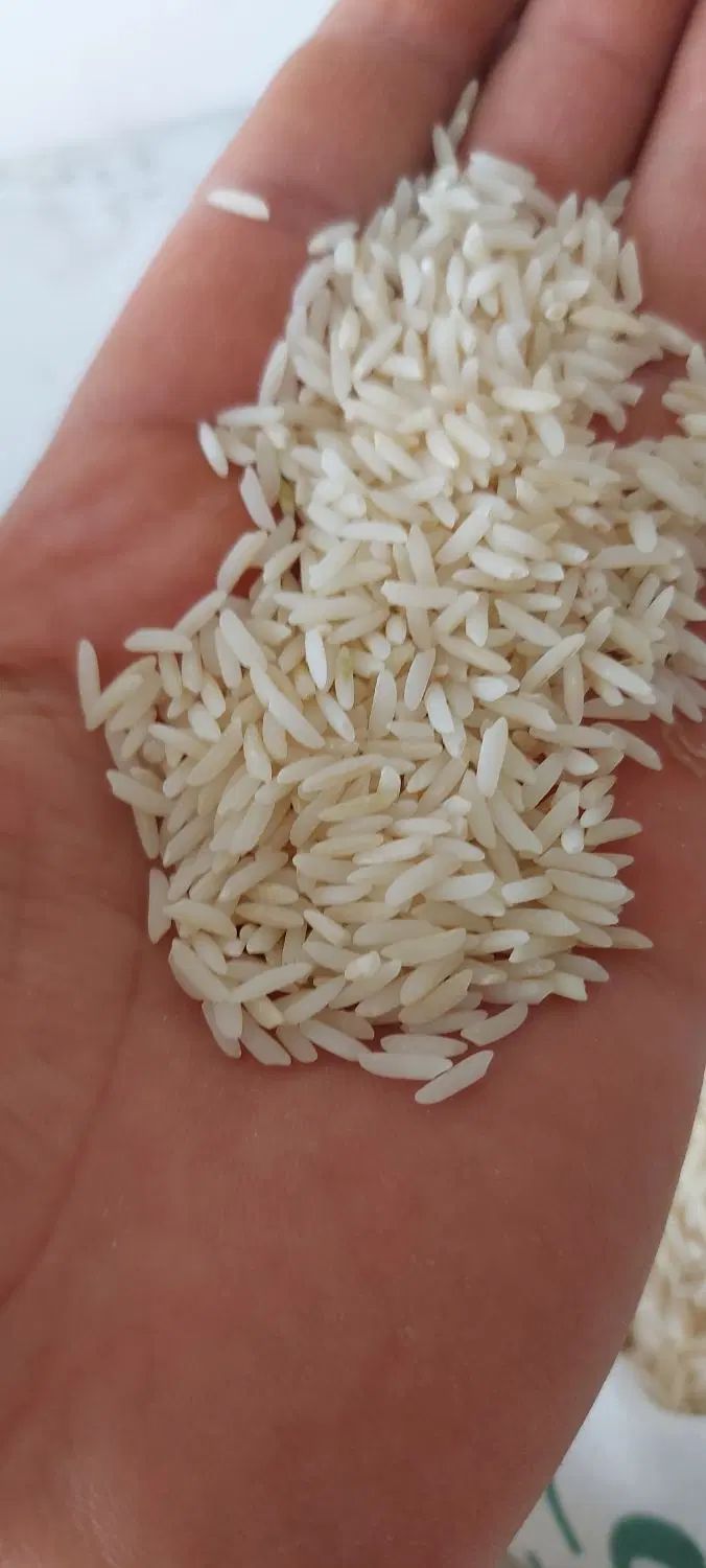برنج دمسیاه استخوانی و طارم هاشمی بسیارمعطر|خوردنی و آشامیدنی|زنجان, |دیوار