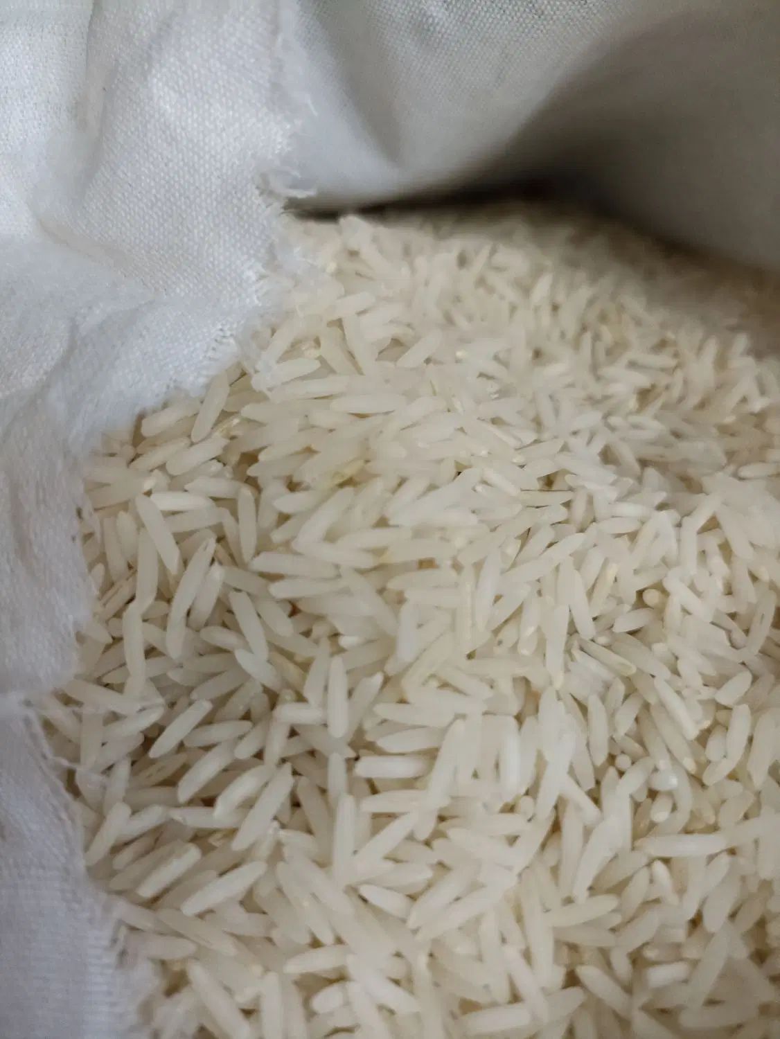 برنج آستانه اشرفیه دمسیاه مجلسی|خوردنی و آشامیدنی|تهران, هفده شهریور|دیوار