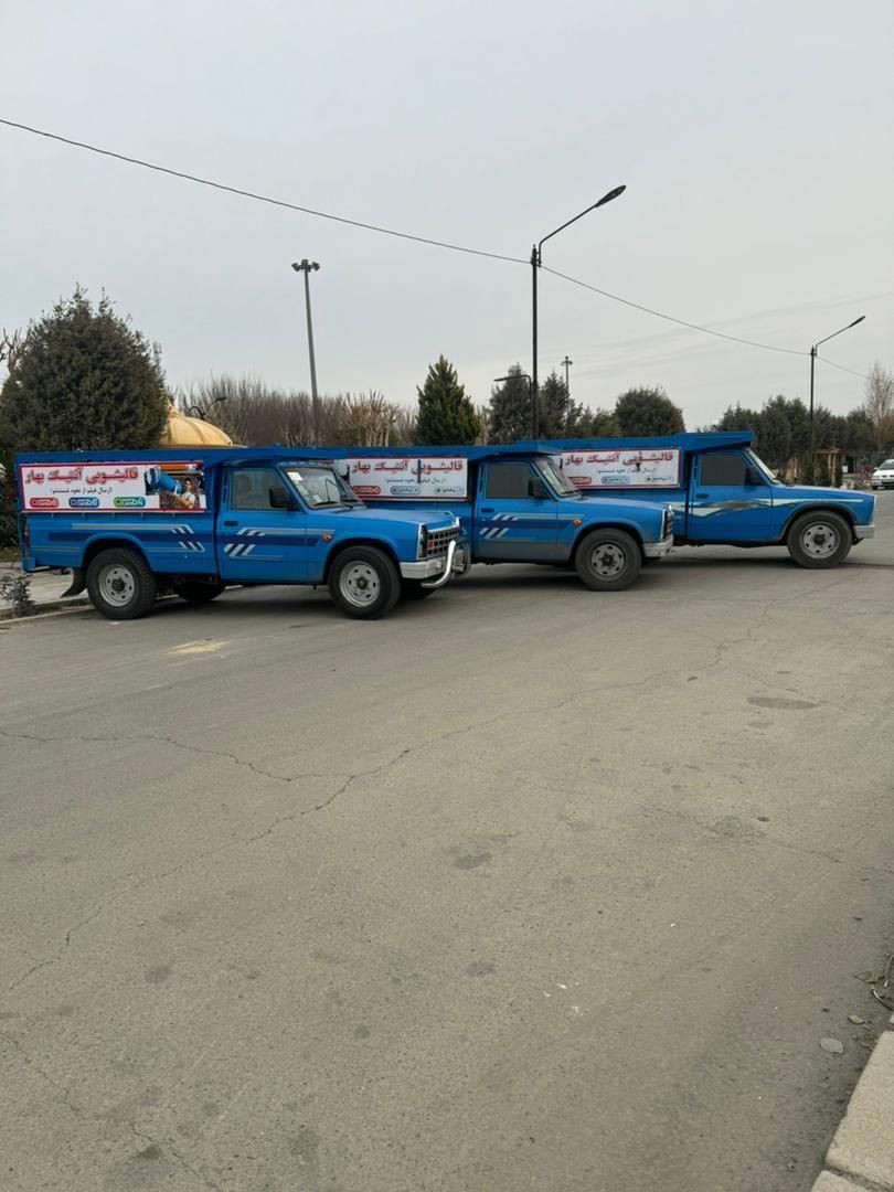 قالیشویی و مبل شویی آنتیک بهار|خدمات نظافت|نسیمشهر, |دیوار