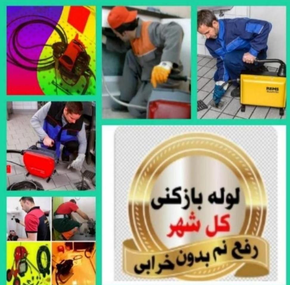 فنرزن هاشمی طوس دامپزشگی هوشیارآزادی طرشت سپه|خدمات پیشه و مهارت|تهران, استاد معین|دیوار