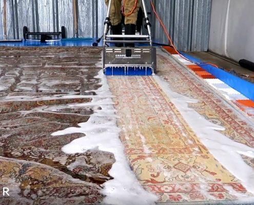 قالیشویی  مبل شویی رز آبی بالای ۳۰متر سرویس رایگان|خدمات نظافت|فردیس, |دیوار